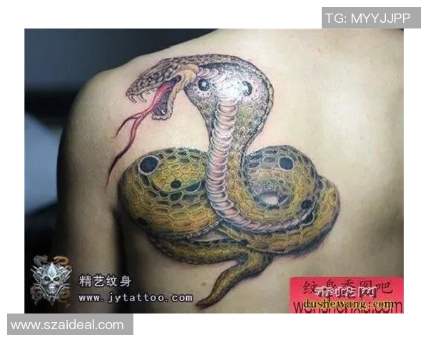 足球明星独特蛇纹身高清大图展示个性与魅力